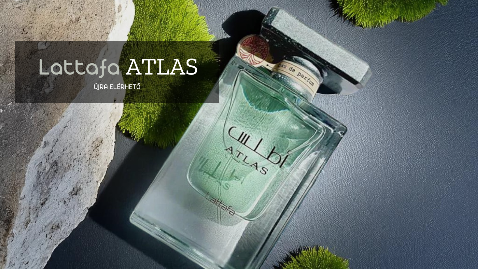 Lattafa Atlas